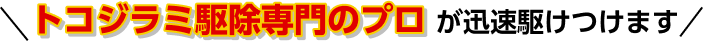 トコジラミ駆除専門のプロが迅速駆けつけます