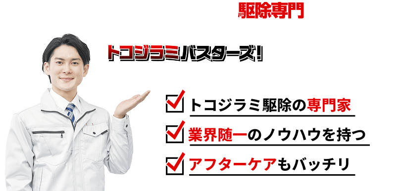 トコジラミバスターズ！の駆除方法