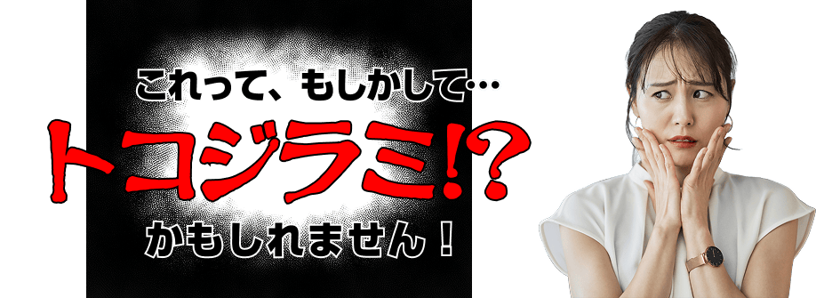 これってもしかして、トコジラミかもしれません