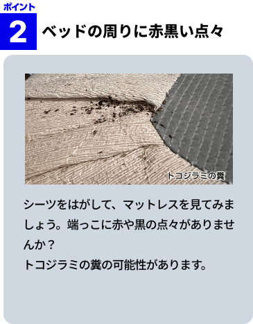 ベッドの周りに赤黒い点々