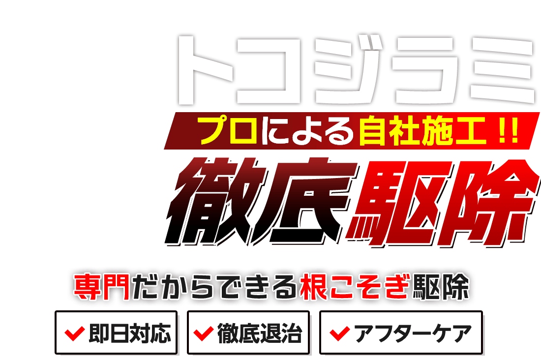 トコジラミバスターズ！